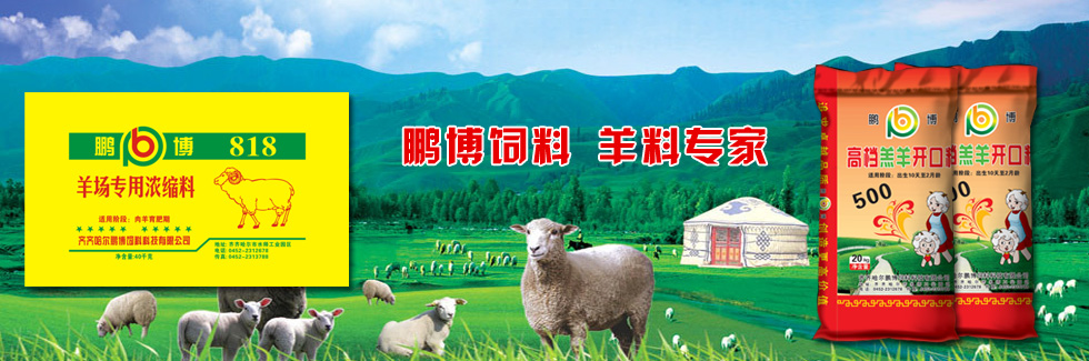 鵬博飼料，羊料專(zhuān)家